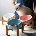 Load image into Gallery viewer, Pet bowl with stand
