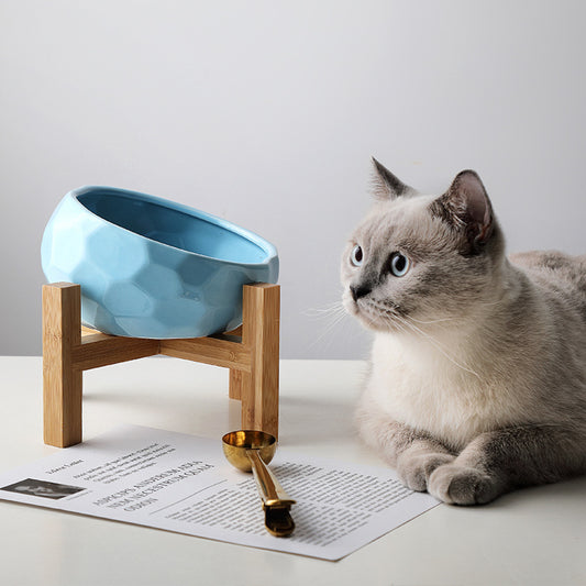 Pet bowl with stand