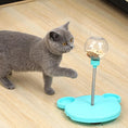 Load image into Gallery viewer, Leaking Treats Ball Pet Feeder Toy
